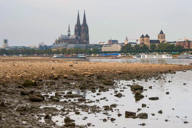 A cargo ship with a light load sails down the Rhine past Cologne Cathedral during low water. Photo taken on August 31, 2026. Water levels in the Rhine are approaching record lows in some areas. In Cologne, a historic low is feared. The low water levels are having a massive impact on shipping; cargo ships must in Copyright: epd-bild GuidoxSchiefer epd--Koeln_Niedrigwasser3-kopieren
