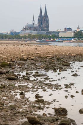 A cargo ship with a light load sails down the Rhine past Cologne Cathedral during low water. Photo taken on August 31, 2026. Water levels in the Rhine are approaching record lows in some areas. In Cologne, a historic low is feared. The low water levels are having a massive impact on shipping; cargo ships must in Copyright: epd-bild GuidoxSchiefer epd--Koeln_Niedrigwasser6-kopieren