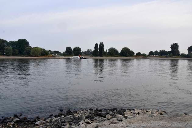 ABB RHINE Rhine navigation channel Low water level Rhine riverbank, near Düsseldorf-Oberkassel Currently, restricted vessel traffic on the Rhine near Oberkassel Rhine Bridge inland waterway vessels cargo ship freight ship transport ship barge currently not fully loaded on the Rhine traveling on the water