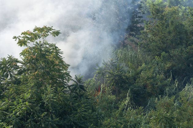 IPA87137280 - Rome: Fire Breaks Out on Monte Ciocci in Rome  Copyright: xMatteoxNardonex xx 87137280