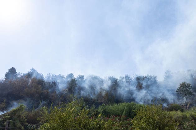 IPA87137222 - Rome: Fire Breaks Out on Monte Ciocci in Rome  Copyright: xMatteoxNardonex xx 87137222