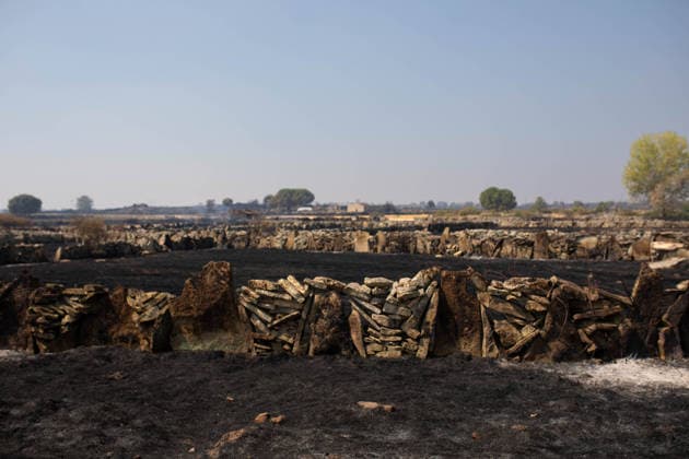 Residents of 12 of the 14 towns evacuated due to the Fermoselle fire have been relocated, and restrictions have been lifted in two municipalities. House destroyed by a wildfire, as of July 31, 2026, in Formariz, Zamora, Castile and León, Spain. Castile and León Civil Protection reported on Friday that residents evacuated due to the Fermoselle fire in Zamora—from the towns of Pasariegos, Villar del Buey, Dehesa de Pedraza, Cibanal, Formariz, Muga de Sayago, Tudera, Arganín, Badilla, Cozcurrita, Zafara, Palazuelo de Sayago, and Fornillos de Fermoselle, while lockdown measures have been lifted in the municipalities of Fermoselle and Fariza, and the towns of Mámoles and Pinilla de Fermoselle remain evacuated. Thus, only the towns of Mámoles an Copyright: xPalomaxV.xEscarpax 7697494