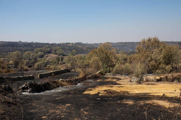 Residents of 12 of the 14 towns evacuated due to the Fermoselle fire have been relocated, and restrictions have been lifted in two municipalities. House destroyed by a wildfire, as of July 31, 2026, in Fornillos de Fermoselle, Zamora, Castile and León, Spain. Castile and León Civil Protection reported on Friday that residents evacuated due to the Fermoselle fire in Zamora—from the towns of Pasariegos, Villar del Buey, Dehesa de Pedraza, Cibanal, Formariz, Muga de Sayago, Tudera, Arganín, Badilla, Cozcurrita, Zafara, Palazuelo de Sayago, and Fornillos de Fermoselle, while lockdown measures have been lifted in the municipalities of Fermoselle and Fariza, and the towns of Mámoles and Pinilla de Fermoselle remain evacuated. Thus, only the town Copyright: xPalomaxV.xEscarpax 7697499