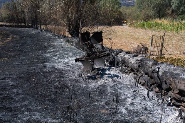 Residents of 12 of the 14 towns evacuated due to the Fermoselle fire have been relocated, and restrictions have been lifted in two municipalities. Land scorched by a wildfire, as of July 31, 2026, in Fornillos de Fermoselle, Zamora, Castile and León, Spain. Castile and León Civil Protection reported this Friday that residents evacuated due to the Fermoselle fire in Zamora from the towns of Pasariegos, Villar del Buey, Dehesa de Pedraza, Cibanal, Formariz, Muga de Sayago, Tudera, Arganín, Badilla, Cozcurrita, Zafara, Palazuelo de Sayago, and Fornillos de Fermoselle, while lockdown measures have been lifted in the municipalities of Fermoselle and Fariza, and the towns of Mámoles and Pinilla de Fermoselle remain evacuated. Thus, only the town Copyright: xPalomaxV.xEscarpax 7697503