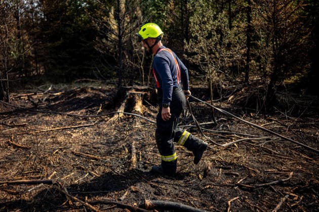 Forest fire extinguishing in the Czech Republic VETRKOVICE, CZECH REPUBLIC - JULY 31: Czech firefighters extinguish a forest and field fire covering an area of ??27 hectares in Vetrkovice (Moravian-Silesian Region), Czech Republic on July 31, 2026. According to a fire department spokesperson, 13 firefighting units are responding. Firefighters are also continuously monitoring the situation using drones, which provide an overview of the fire s development and help manage firefighting efforts. Work will continue into the next night. Lukas Kabon Anadolu Vetrkovice Czech Republic. Editorial use only. Please get in touch for any other usage.  Copyright: x2026xAnadoluxLukasxKabonx