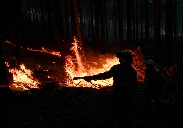 Firefighting efforts continue in Aydin s Cine AYDIN, TURKIYE - JULY 31: Firefighters extinguish fire at a forested area as aerial and ground crews continue battling a wildfire in the Cine district of Aydin, Turkiye on July 31, 2026. Mahmut Serdar Alakus Anadolu Aydin Turkey. Editorial use only. Please get in touch for any other usage.  Copyright: x2026xAnadoluxMahmutxSerdarxAlakusx