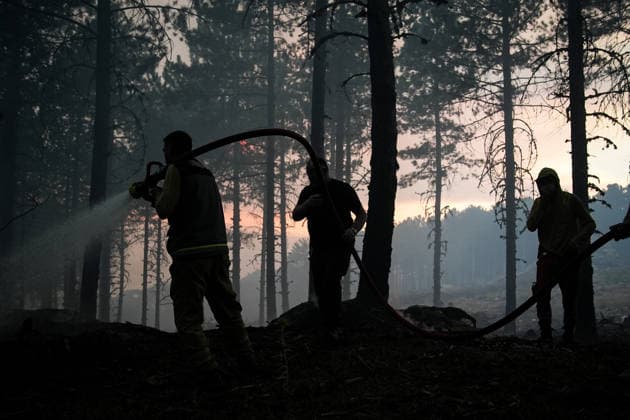News Bilder des Tages Firefighting efforts continue in Aydin s Cine AYDIN, TURKIYE - JULY 31: Firefighters extinguish fire at a forested area as aerial and ground crews continue battling a wildfire in the Cine district of Aydin, Turkiye on July 31, 2026. Mahmut Serdar Alakus Anadolu Aydin Turkey. Editorial use only. Please get in touch for any other usage.  Copyright: x2026xAnadoluxMahmutxSerdarxAlakusx