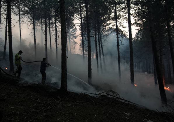 Firefighting efforts continue in Aydin s Cine AYDIN, TURKIYE - JULY 31: Firefighters extinguish fire at a forested area as aerial and ground crews continue battling a wildfire in the Cine district of Aydin, Turkiye on July 31, 2026. Mahmut Serdar Alakus Anadolu Aydin Turkey. Editorial use only. Please get in touch for any other usage.  Copyright: x2026xAnadoluxMahmutxSerdarxAlakusx