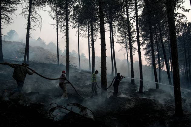 Firefighting efforts continue in Aydin s Cine AYDIN, TURKIYE - JULY 31: Firefighters extinguish fire at a forested area as aerial and ground crews continue battling a wildfire in the Cine district of Aydin, Turkiye on July 31, 2026. Mahmut Serdar Alakus Anadolu Aydin Turkey. Editorial use only. Please get in touch for any other usage.  Copyright: x2026xAnadoluxMahmutxSerdarxAlakusx