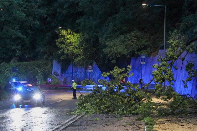Severe weather in the state capital; a tree lies across a street in Stuttgart following an evening storm. Stuttgart, Baden-Württemberg, Germany. Stuttgart Copyright: x xonw-imagesx xDanielxKesslerx