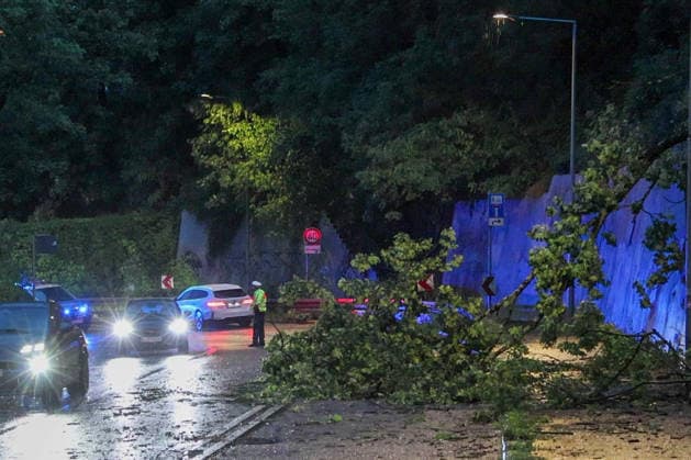 Severe weather in the state capital; a tree lies across a street in Stuttgart following an evening storm. Stuttgart, Baden-Württemberg, Germany. Stuttgart Copyright: x xonw-imagesx xDanielxKesslerx