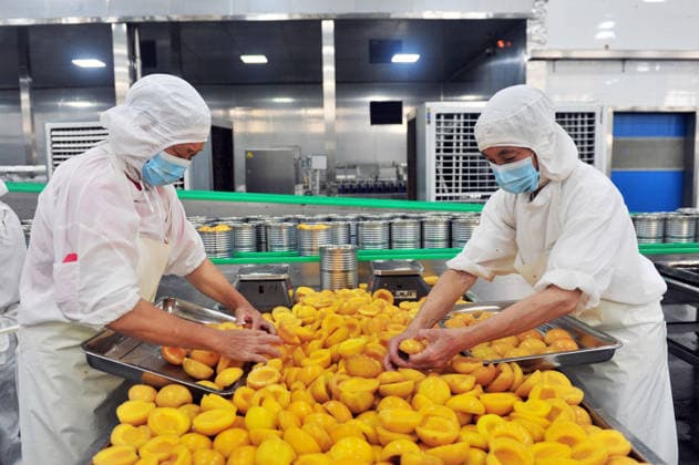YICHANG, CHINA - AUGUST 01: Workers process yellow peaches on an automated production line at the fruit workshop of Qugu International Agriculture Group on August 1, 2026 in Zigui, Hubei Province of China.  Copyright: xVCGx 111657565620