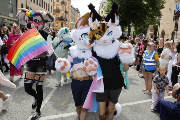 STOCKHOLM, SWEDEN 20260801 The Pride parade runs from Norr Mälarstrand to Slussen during this year s Stockholm Pride STOCKHOLM SWEDEN x11700x  Copyright: xMagnusxGrimstedt TTx STOCKHOLM PRIDE 8UYTWhnyD6A