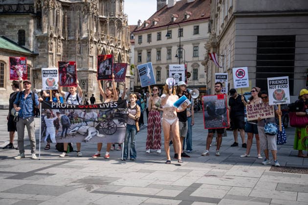 Animal rights activists stage vegan awareness protest in Vienna Animal rights activists hold banners and placards during a vegan awareness protest in central Vienna, Austria, on August 1, 2026. Demonstrators called for an end to animal exploitation and promoted plant-based living. Vienna Vienna Austria Copyright: xxFikretxOzgurx