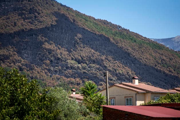 The Burgohondo fire in Ávila is progressing as expected, and 50 firefighters from Catar have been deployed. View of the burned area in the Tiétar Valley, as of August 1, 2026, in Ávila, Castile and León, Spain. The regional delegate of the Regional Government in Ávila, José Francisco Hernández Herrero, has stated that the Burgohondo wildfire is progressing as expected and has expressed confidence that it will be fully contained in the coming hours or days, although for the time being it remains at Level 2 on the Potential Severity Index (IGR 2) August 2, 2026 FIRE NATURAL DISASTER BURNT LANDSCAPE CHARRED SMOKE GARDEN TIÉTAR VALLEY LA ADRADA CASAVIEJA PIEDRALAVES Ávila, Castile and León Ávila, Castile and León Spain Copyright: xGabrixSolerax 7698491