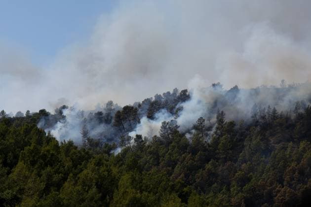 fires in the Var PHOTOPQR LA PROVENCE PHILIPPE LAURENSON Var August 1, 2026 fires in the Var Var August 1, 2026 fires in the Var Var Var France  Copyright: xPHOTOPQR LAxPROVENCE MAXPPPxPHILIPPExLAURENSONx 20260801PVL2881 20260801PVL2881