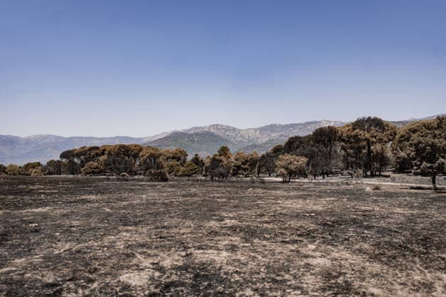 The Burgohondo, Ávila wildfire is progressing as expected, and 50 firefighters from Catar Vista have been deployed one week after the fire broke out, on August 1, 2026, in La Adrada, Castile and León, Spain. The regional delegate of the Regional Government in Ávila, José Francisco Hernández Herrero, has stated that the Burgohondo wildfire is progressing as expected and has expressed confidence that it can be brought under complete control in the coming hours or days, although for the time being it remains at Level 2 on the Potential Severity Index (IGR) 2 AUGUST 2026 FIRE NATURAL FIRE BURNT LANDSCAPE CHARRED SMOKE GARDEN TIÉTAR VALLEY LA ADRADA CASAVIEJA PIEDRALAVES SCULPTURE DONKEYS CAR César Vallejo Rodrí La Adrada, Ávila, Castile and Le Copyright: xCÃ sarxVallejoxRodriguezx 7698605