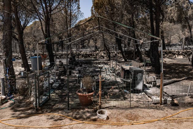 The Burgohondo, Ávila, wildfire is progressing as expected, and 50 firefighters from Catar Vista have been deployed one week after the fire broke out, on August 1, 2026, in La Adrada, Castile and León, Spain. The regional delegate of the Regional Government in Ávila, José Francisco Hernández Herrero, has stated that the Burgohondo wildfire is progressing as expected and has expressed confidence that it can be brought under complete control in the coming hours or days, although for the time being it remains at Level 2 on the Potential Severity Index (IGR) 2 AUGUST 2026 FIRE NATURAL DISASTER BURNT LANDSCAPE SMOKE GARDEN TIÉTAR VALLEY LA ADRADA CASAVIEJA PIEDRALAVES SCULPTURE DONKEYS CAR César Vallejo Rodrí La Adrada, Ávila, Castile and Leo L Copyright: xCÃ sarxVallejoxRodriguezx 7698626