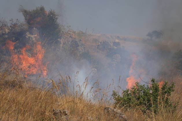 IPA87163929 - In the photo, a massive fire has engulfed the Mirto area; forest rangers, firefighters, civil defense personnel, and two helicopters are on the scene.  Copyright: xAlbertoxLoxBiancox xAlbertoxLoxBiancox 87163929