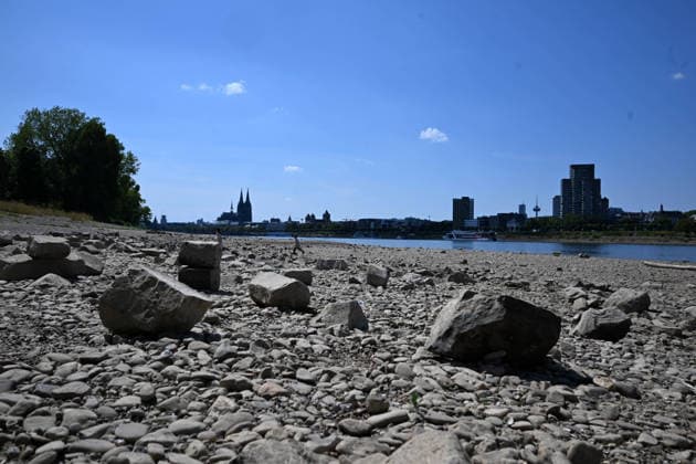 August 2, 2026, xophax, public life, Cologne, banks of the Rhine, Cologne Cathedral; low water levels on the Rhine from Cologne to Mühlheim; Rheinpark; Rhine water level in Cologne reaches record low; Cologne
