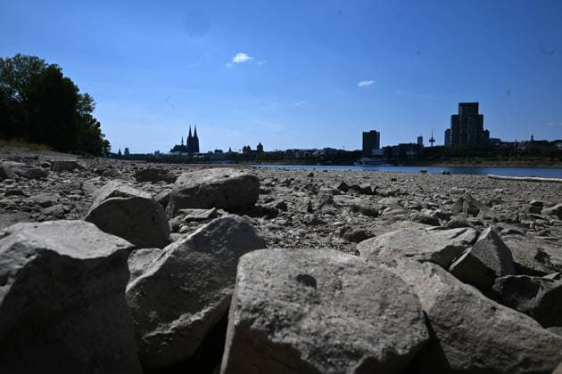 August 2, 2026, xophax, public life, Cologne, banks of the Rhine, Cologne Cathedral; low water levels on the Rhine from Cologne to Mühlheim; Rheinpark; Rhine water level in Cologne reaches record low; Cologne