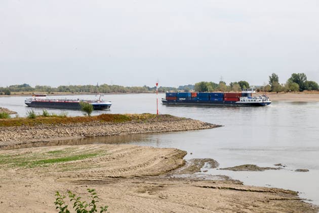 Low Rhine Water Level at the Rees Gauge Station: The Federal Waterways and Shipping Administration published a water level of 32 cm for August 3, 2026. The low water level poses a problem for inland waterway shipping. If it drops too low, vessels will no longer be allowed to carry a full load. Rees, North Rhine-Westphalia, DEU, Germany, August 3, 2026