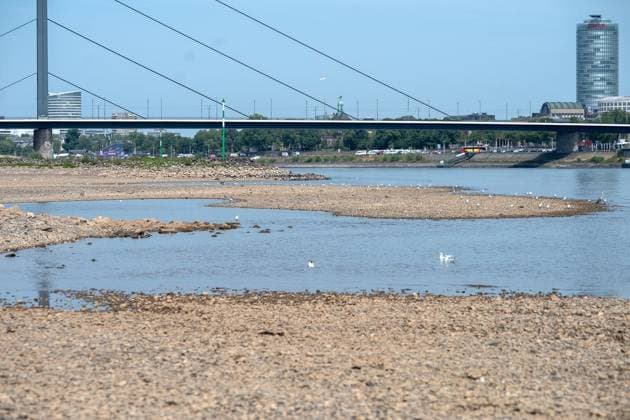 The Rhine near Düsseldorf’s Old Town is at an extremely low water level ** FOR EDITORIAL USE ONLY ** EDITORIAL USE ONLY ** p The Rhine near Düsseldorf’s Old Town is at an extremely low water level, photographed on Monday, August 3, 2026, Germany, North Rhine-Westphalia, Düsseldorf. Copyright KaixKitschenberg Copyright: KaixKitschenberg doc86zzkdz52jpfx01rjl1 ,EDITORIAL USE ONLY Copyright: KaixKitschenberg