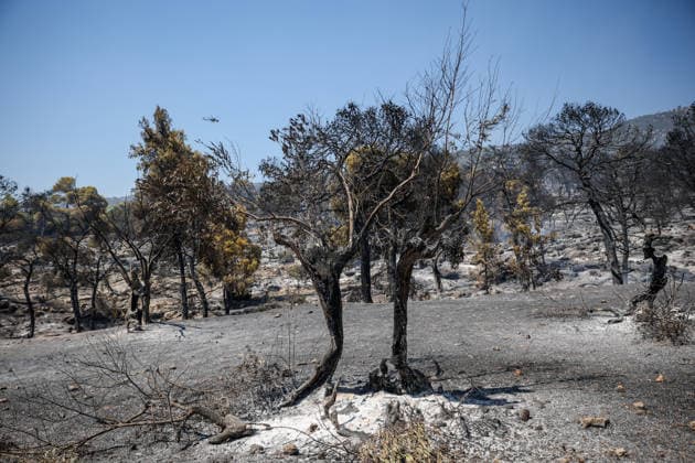 Wildfire continues for fourth day in Psatha, Greece PSATHA, GREECE - AUGUST 04: Burned houses and olive trees are seen in the aftermath of a wildfire in Psatha, Greece, on August 04, 2026. Thousands of square meters of forest, along with several houses, have been destroyed. Although the fire fronts have calmed after four days of intense burning, authorities remain on alert. Aris Oikonomou Anadolu Psatha Greece. Editorial use only. Please get in touch for any other usage.  Copyright: x2026xAnadoluxArisxOikonomoux