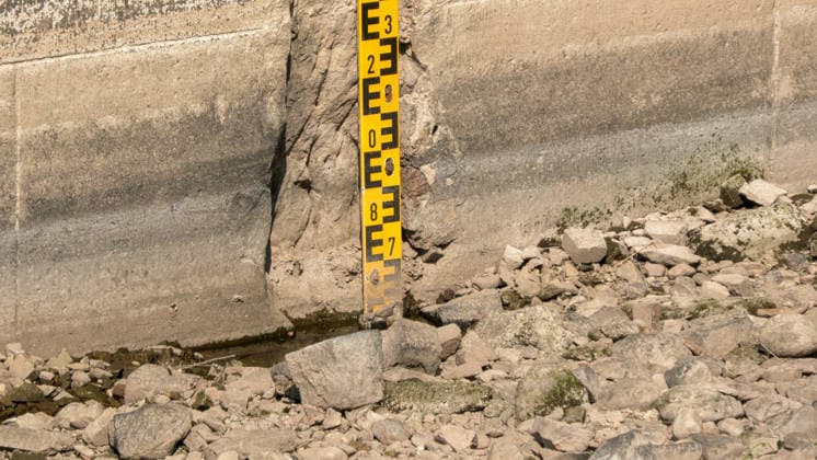 Water levels continue to drop. Persistent drought is further exacerbating low water levels in German rivers. The Elbe near Dresden is also affected. In Dr