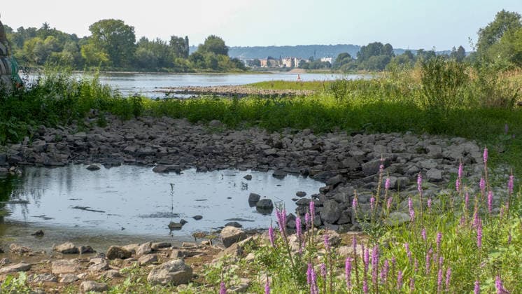 Water levels continue to drop. Persistent drought is further exacerbating low water levels in German rivers. The Elbe near Dresden is also affected. In Dr