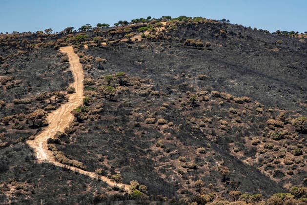 Leo Messi Donates 80,000 Euros for the Reconstruction of Madrid’s Sierra Oeste After the Wildfire View after the wildfire, on August 4, 2026, in Navas del Rey, Madrid, Spain The president of the Community of Madrid, Isabel Díaz Ayuso, announced on Tuesday that soccer player Leo Messi has donated 80,000 euros for the reconstruction of the region’s Sierra Oeste following the wildfire that has scorched nearly 30,000 hectares. The Community of Madrid has launched a website to channel donations from citizens and companies to support those affected by the fires that impacted 17 municipalities in the Sierra Oeste August 4, 2026 FIRE SCORCHED LAND DONATION MESSI NATURE LANDSCAPE SIERRA OESTE MADRID FIRE MADRID HECTAREBURNT TREES BURNT LAND Navas d Copyright: xGabrixSolerax 7701736
