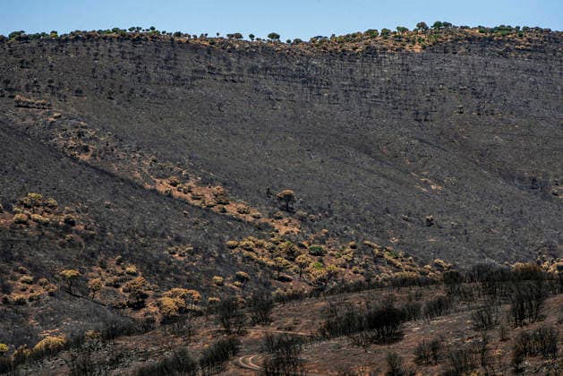 Leo Messi Donates 80,000 Euros for the Reconstruction of Madrid’s Sierra Oeste After the Wildfire View after the wildfire, on August 4, 2026, in Navas del Rey, Madrid, Spain The president of the Community of Madrid, Isabel Díaz Ayuso, announced on Tuesday that soccer player Leo Messi has donated 80,000 euros for the reconstruction of the region’s Sierra Oeste following the wildfire that has scorched nearly 30,000 hectares. The Community of Madrid has launched a website to channel donations from citizens and companies to support those affected by the fires that impacted 17 municipalities in the Sierra Oeste August 4, 2026 FIRE SCORCHED LAND DONATION MESSI NATURE LANDSCAPE SIERRA OESTE MADRID FIRE MADRID HECTAREBURNT TREES BURNT LAND Navas d Copyright: xGabrixSolerax 7701735