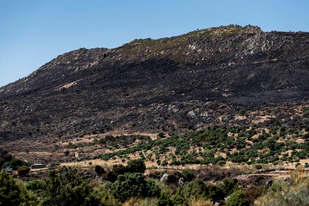 Leo Messi Donates 80,000 Euros for the Reconstruction of Madrid’s Sierra Oeste After the Wildfire View after the wildfire, on August 4, 2026, in Robledo de Chavela, Madrid, Spain. The president of the Community of Madrid, Isabel Díaz Ayuso, announced on Tuesday that soccer player Leo Messi has donated 80,000 euros for the reconstruction of the region’s Sierra Oeste following the wildfire that has scorched nearly 30,000 hectares. The Community of Madrid has launched a website to channel donations from citizens and companies for those affected by the fires that impacted 17 municipalities in the Sierra Oeste August 4, 2026 FIRE SCORCHED LAND DONATION MESSI NATURE LANDSCAPE SIERRA OESTE MADRID FIRE MADRID HECTAREBURNT TREES BURNT LAND Robledo Copyright: xGabrixSolerax 7701738