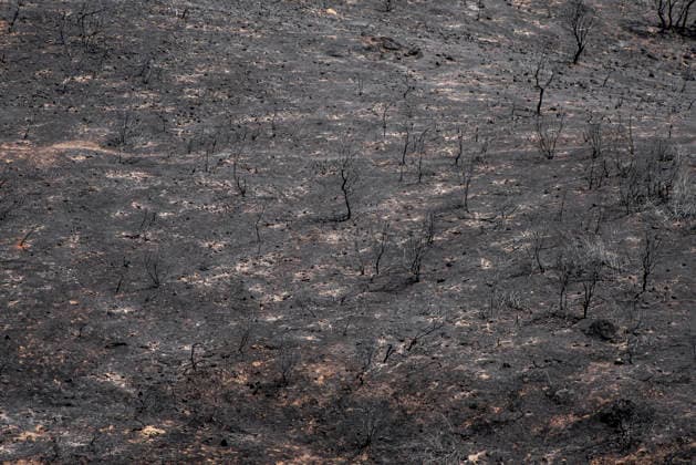 Leo Messi Donates 80,000 Euros for the Reconstruction of Madrid’s Sierra Oeste After the Wildfire View after the wildfire, on August 4, 2026, in Villa del Prado, Madrid, Spain. The president of the Community of Madrid, Isabel Díaz Ayuso, announced on Tuesday that soccer player Leo Messi has donated 80,000 euros for the reconstruction of the region’s Sierra Oeste following the wildfire that has scorched nearly 30,000 hectares. The Community of Madrid has launched a website to channel donations from citizens and companies to support those affected by the fires that impacted 17 municipalities in the Sierra Oeste August 4, 2026 FIRE SCORCHED LAND DONATION MESSI NATURE LANDSCAPE SIERRA OESTE MADRID FIRE MADRID HECTAREBURNT TREES BURNT LAND VILL Copyright: xGabrixSolerax 7701746