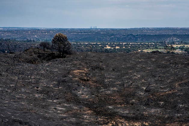Leo Messi Donates 80,000 Euros for the Reconstruction of Madrid’s Sierra Oeste After the Wildfire View after the wildfire, on August 4, 2026, in Villa del Prado, Madrid, Spain. The president of the Community of Madrid, Isabel Díaz Ayuso, announced on Tuesday that soccer player Leo Messi has donated 80,000 euros for the reconstruction of the region’s Sierra Oeste following the wildfire that has scorched nearly 30,000 hectares. The Community of Madrid has launched a website to channel donations from citizens and companies to support those affected by the fires that impacted 17 municipalities in the Sierra Oeste August 4, 2026 FIRE SCORCHED LAND DONATION MESSI NATURE LANDSCAPE SIERRA OESTE MADRID FIRE MADRID HECTAREBURNT TREES BURNT LAND VILL Copyright: xGabrixSolerax 7701748