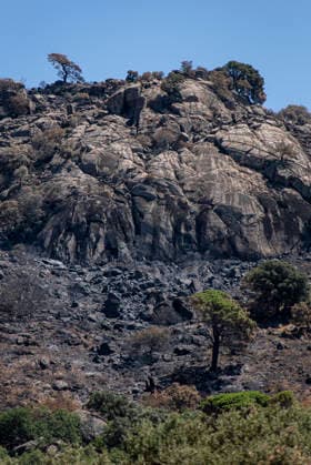 Leo Messi Donates 80,000 Euros for the Reconstruction of Madrid’s Sierra Oeste After the Wildfire View after the wildfire, on August 4, 2026, in Robledo de Chavela, Madrid, Spain. The president of the Community of Madrid, Isabel Díaz Ayuso, announced on Tuesday that soccer player Leo Messi has donated 80,000 euros for the reconstruction of the region’s Sierra Oeste following the wildfire that has scorched nearly 30,000 hectares. The Community of Madrid has launched a website to channel donations from citizens and companies for those affected by the fires that impacted 17 municipalities in the Sierra Oeste August 4, 2026 FIRE SCORCHED LAND DONATION MESSI NATURE LANDSCAPE SIERRA OESTE MADRID FIRE MADRID HECTAREBURNT TREES BURNT LAND Robledo Copyright: xGabrixSolerax 7701739