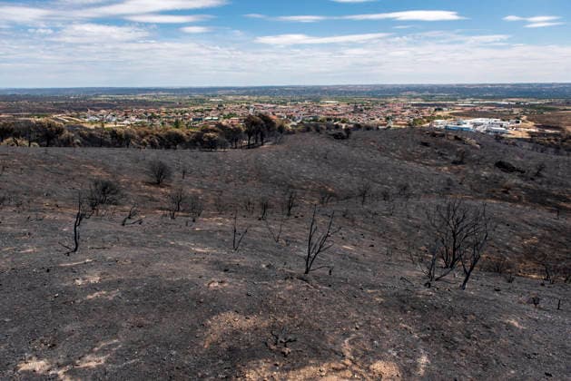 Leo Messi Donates 80,000 Euros for the Reconstruction of Madrid’s Sierra Oeste After the Wildfire View after the wildfire, on August 4, 2026, in Villa del Prado, Madrid, Spain. The president of the Community of Madrid, Isabel Díaz Ayuso, announced on Tuesday that soccer player Leo Messi has donated 80,000 euros for the reconstruction of the region’s Sierra Oeste following the wildfire that has scorched nearly 30,000 hectares. The Community of Madrid has launched a website to channel donations from citizens and companies to support those affected by the fires that impacted 17 municipalities in the Sierra Oeste August 4, 2026 FIRE SCORCHED LAND DONATION MESSI NATURE LANDSCAPE SIERRA OESTE MADRID FIRE MADRID HECTAREBURNT TREES BURNT LAND VILL Copyright: xGabrixSolerax 7701741