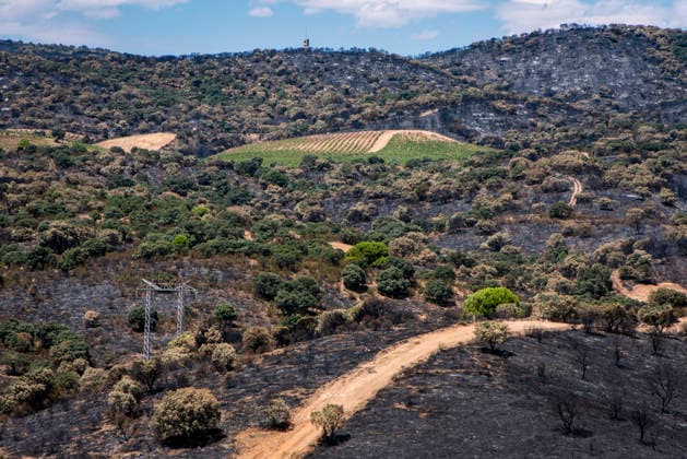 Leo Messi Donates 80,000 Euros for the Reconstruction of Madrid’s Sierra Oeste After the Wildfire View after the wildfire, on August 4, 2026, in Villa del Prado, Madrid, Spain. The president of the Community of Madrid, Isabel Díaz Ayuso, announced on Tuesday that soccer player Leo Messi has donated 80,000 euros for the reconstruction of the region’s Sierra Oeste following the wildfire that has scorched nearly 30,000 hectares. The Community of Madrid has launched a website to channel donations from citizens and companies to support those affected by the fires that impacted 17 municipalities in the Sierra Oeste August 4, 2026 FIRE SCORCHED LAND DONATION MESSI NATURE LANDSCAPE SIERRA OESTE MADRID FIRE MADRID HECTAREBURNT TREES BURNT LAND VILL Copyright: xGabrixSolerax 7701752