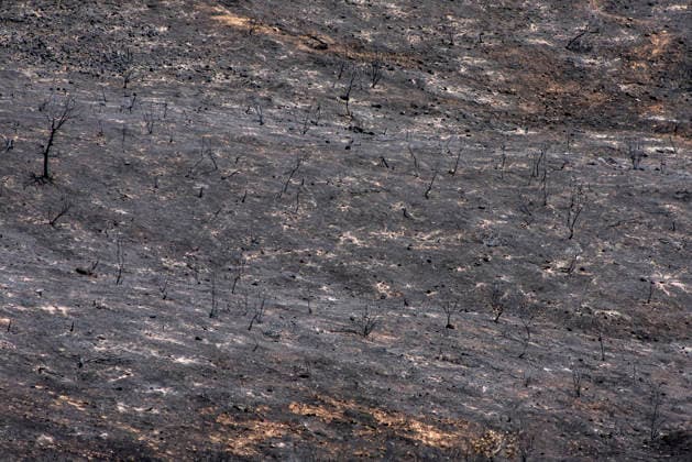 Leo Messi Donates 80,000 Euros for the Reconstruction of Madrid’s Sierra Oeste After the Wildfire View after the wildfire, on August 4, 2026, in Villa del Prado, Madrid, Spain. The president of the Community of Madrid, Isabel Díaz Ayuso, announced on Tuesday that soccer player Leo Messi has donated 80,000 euros for the reconstruction of the region’s Sierra Oeste following the wildfire that has scorched nearly 30,000 hectares. The Community of Madrid has launched a website to channel donations from citizens and companies to support those affected by the fires that impacted 17 municipalities in the Sierra Oeste August 4, 2026 FIRE SCORCHED LAND DONATION MESSI NATURE LANDSCAPE SIERRA OESTE MADRID FIRE MADRID HECTAREBURNT TREES BURNT LAND VILL Copyright: xGabrixSolerax 7701753