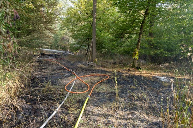 Forest Fire Reported by Aircraft: 200 Square Meters of Forest