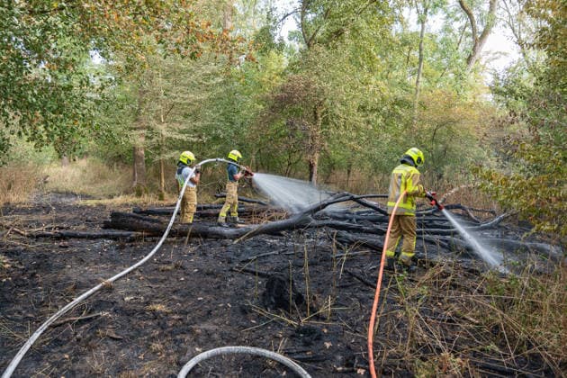 Forest Fire Reported by Aircraft: 200 Square Meters of Forest