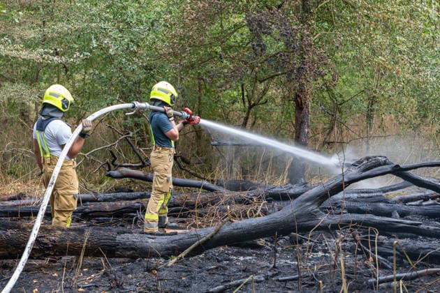 Forest Fire Reported by Aircraft: 200 Square Meters of Forest
