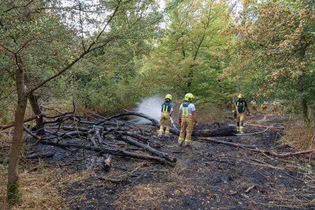 Forest Fire Reported by Aircraft: 200 Square Meters of Forest