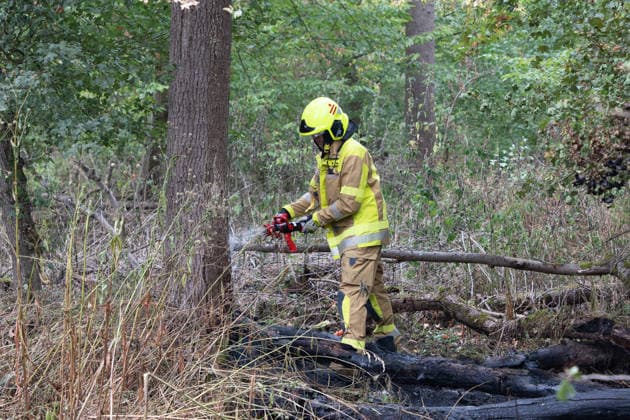 Forest Fire Reported by Aircraft: 200 Square Meters of Forest