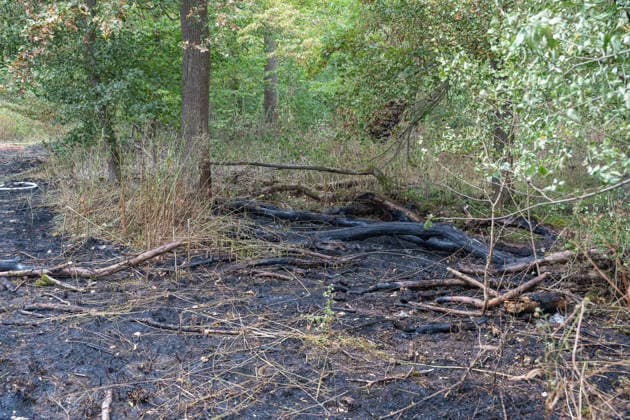 Forest Fire Reported by Aircraft: 200 Square Meters of Forest