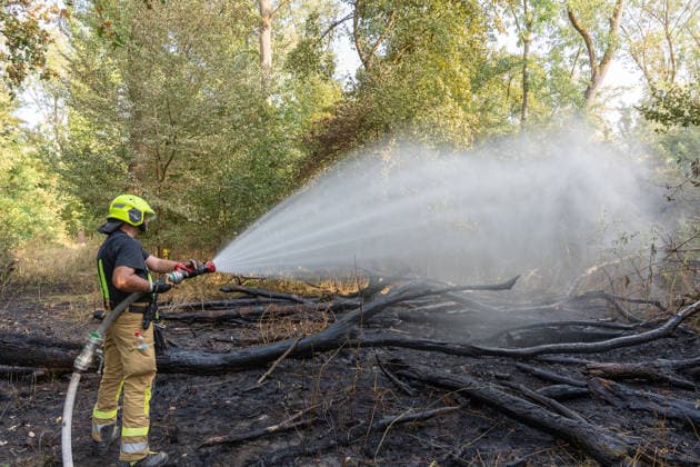 Forest Fire Reported by Aircraft: 200 Square Meters of Forest