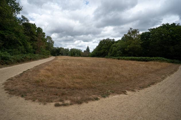 August 4, 2026, Epsom, Surrey, United Kingdom: A dry, parched field on Epsom Common reflects the impact of weeks without significant rainfall, in Surrey and the Southeast. As temperatures begin to ease, signaling the end of the UK s fourth heat wave of the summer, the impact of weeks of exceptional heat remains visible across Surrey. The South East is still on the brink of drought, with parched fields, scorched grassland and dried landscapes reflecting one of the driest summers in recent years. The prolonged lack of rainfall continues to affect the countryside, wildlife and local water resources. Epsom United Kingdom - ZUMAs197 20260804_aaa_s197_083 Copyright: xJamesxWilloughbyx