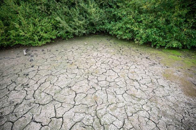August 4, 2026, Epsom, Surrey, United Kingdom: The Stew Pond on Epsom Common has partly dried up after weeks of exceptionally dry weather during the UK s fourth heatwave of the summer. As temperatures begin to ease, signaling the end of the UK s fourth heat wave of the summer, the impact of weeks of exceptional heat remains visible across Surrey. The South East is still on the brink of drought, with parched fields, scorched grassland and dried landscapes reflecting one of the driest summers in recent years. The prolonged lack of rainfall continues to affect the countryside, wildlife and local water resources. Epsom United Kingdom  - ZUMAs197 20260804_aaa_s197_084 Copyright: xJamesxWilloughbyx