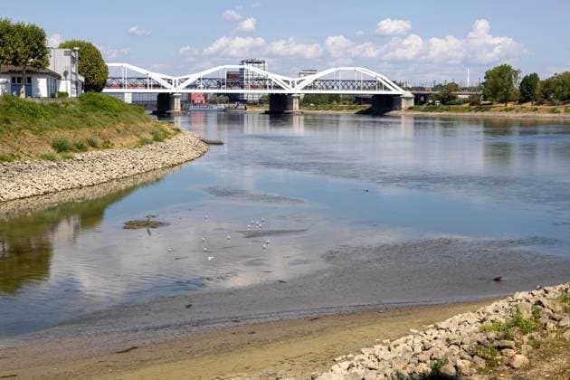 Extremely low water levels on the Rhine in Mannheim and Ludwigshafen. At the time the photo was taken, the water level here was 85 cm. The photo was taken on Parkinsel in Ludwigshafen. Copyright: xUdoxHerrmannx