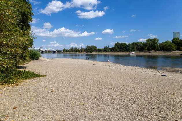 Extremely low water levels on the Rhine in Mannheim and Ludwigshafen. At the time the photo was taken, the water level here was 85 cm. The photo was taken on Parkinsel in Ludwigshafen. Copyright: xUdoxHerrmannx